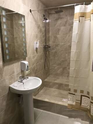 Мини-отель Отель Мишель Харьков Номер Делюкс-5